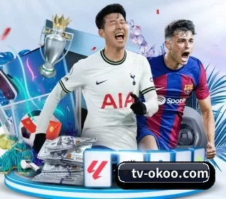 tv-okoo.com APP 界面 | aoko